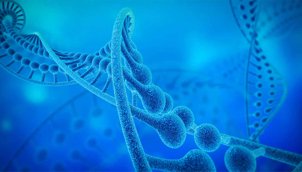 Protein expression and purification