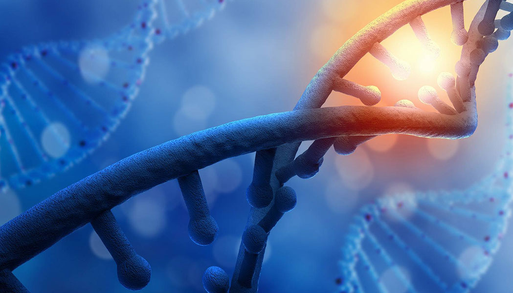Gene cloning, mutation, and knockout