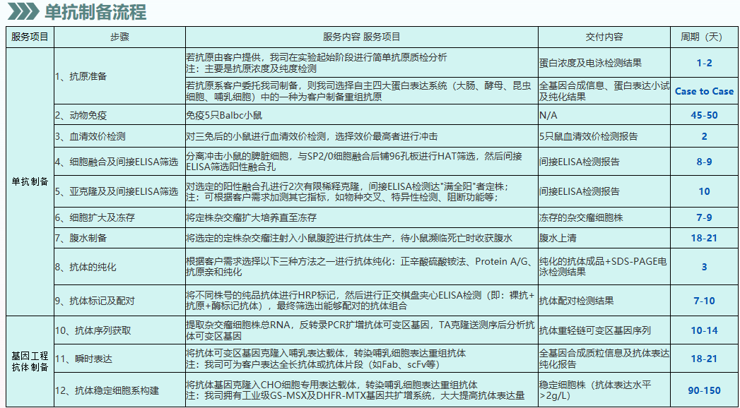 鼠单克隆抗体制备(图2)