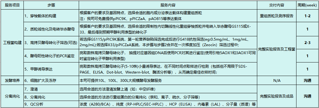 毕赤酵母蛋白表达(图2)