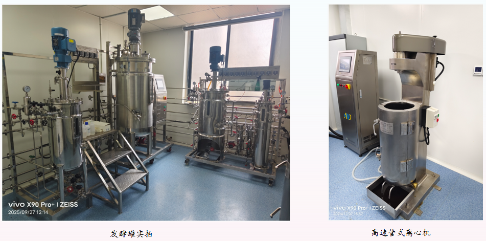 大肠杆菌和酵母发酵服务(图1)