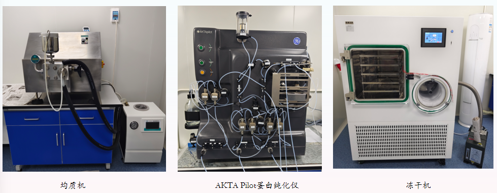 大肠杆菌和酵母发酵服务(图2)